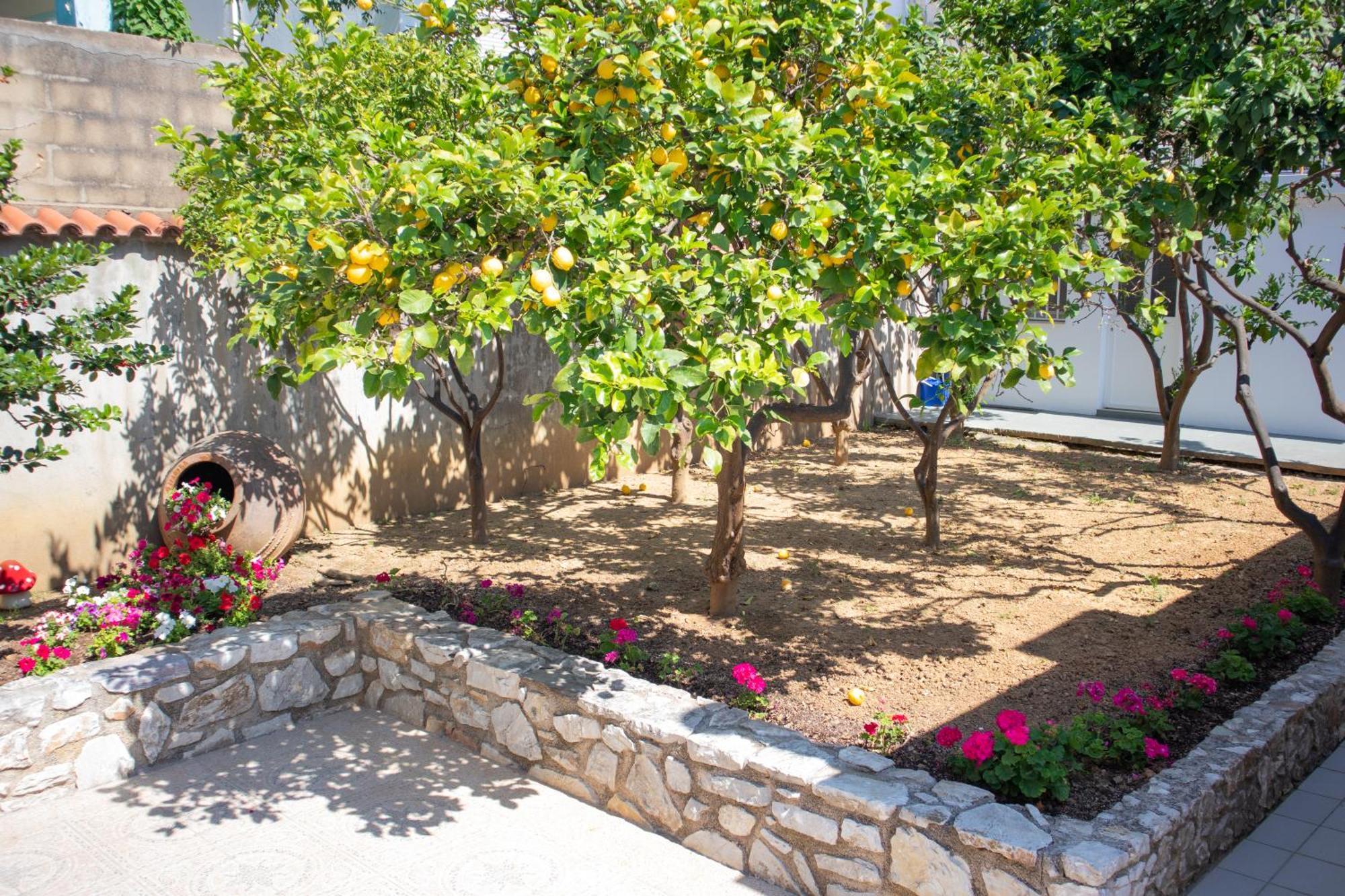 Athanasia Apartments Skiathos-stad Buitenkant foto